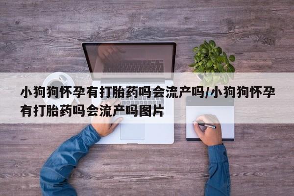 打胎药正品包邮联系方式小狗狗怀孕有打胎药吗会流产吗/小狗狗怀孕有打胎药吗会流产吗图片