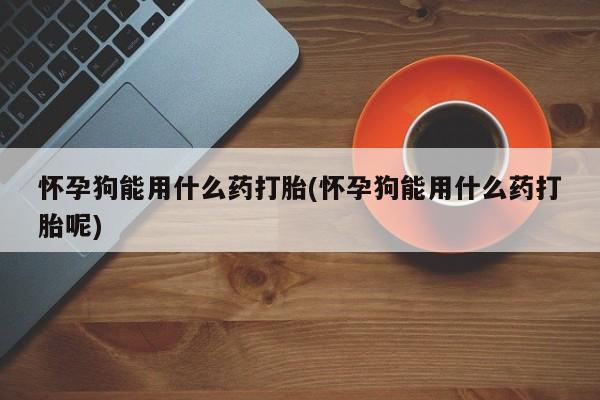 打胎药正品包邮联系方式怀孕狗能用什么药打胎(怀孕狗能用什么药打胎呢)